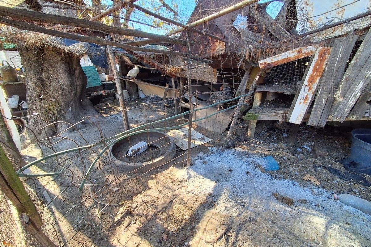 Centrally Located Farm with Direct Tar Road Access - Photo 4