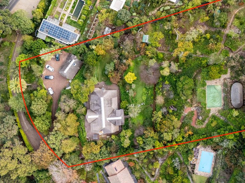 Witteboomen - a world above Constantia! - Photo 4