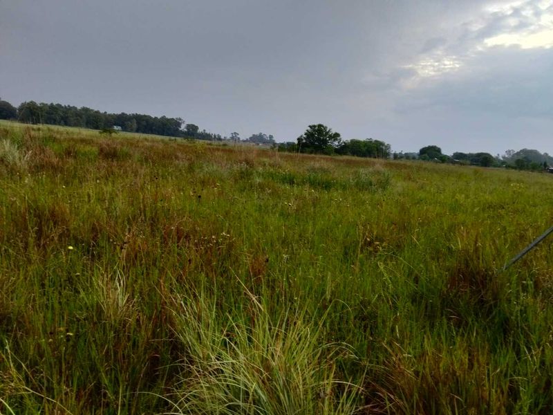 Build Your Dream Home in Serene Emerald Hill Estate! - Photo 4