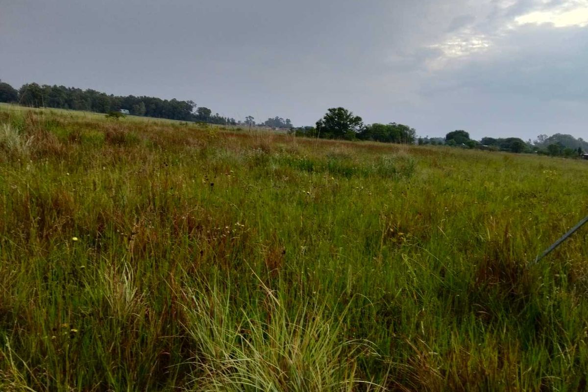 Build Your Dream Home in Serene Emerald Hill Estate! - Photo 4