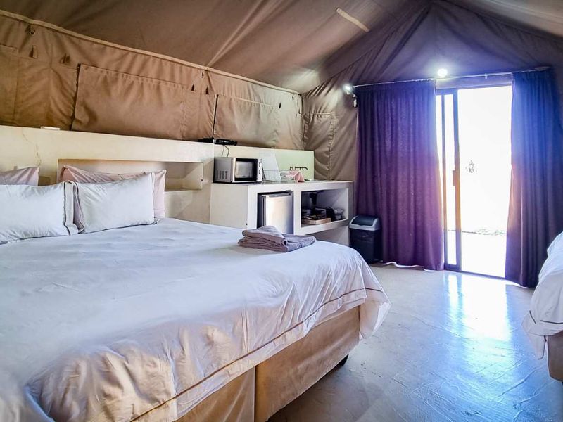 Great Business Opportunity Available in Dinokeng Game Reserve - Photo 10
