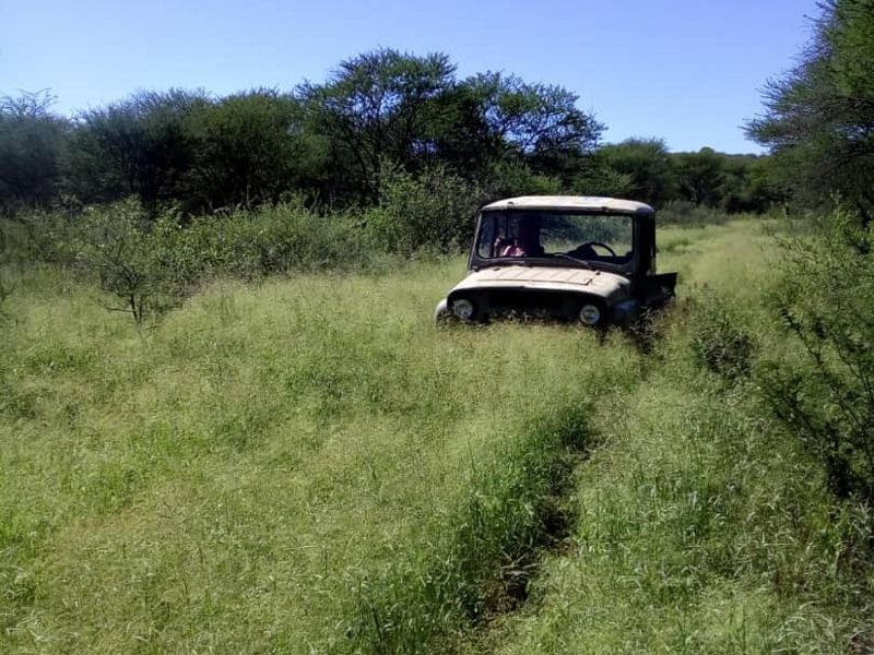 GAME, AGRICULTURAL FARM FOR SALE IN OUTJO AREA - Photo 8