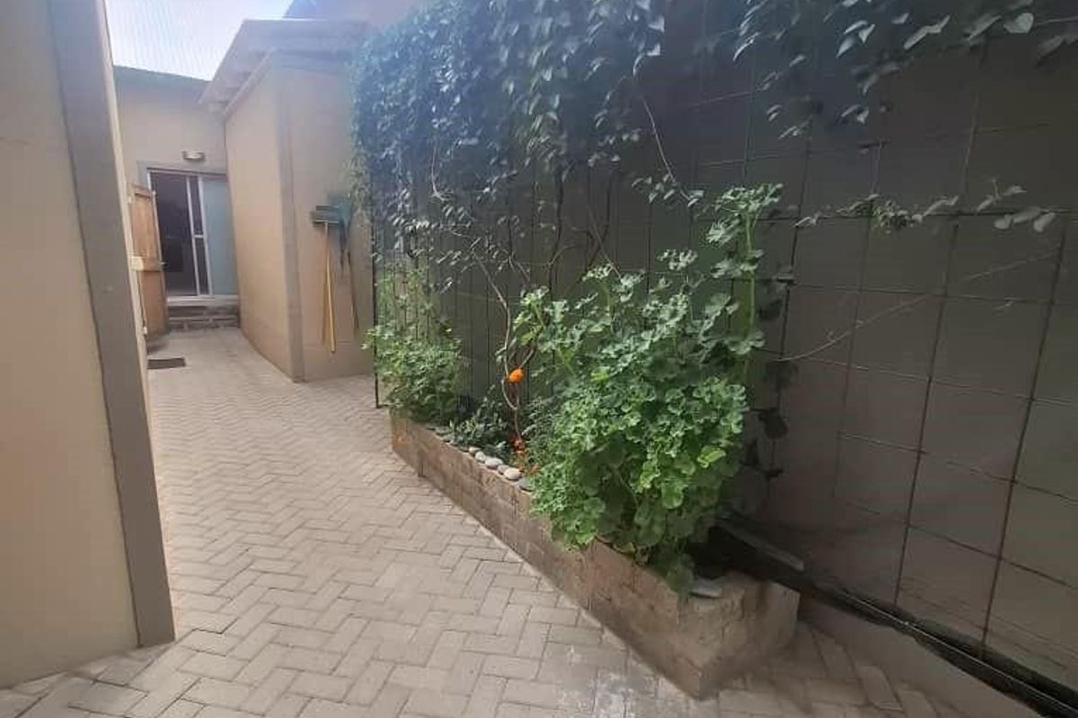 A side walkway featuring paved flooring, a vertical trellis with climbing plants, and a raised garden bed along the exterior wall.