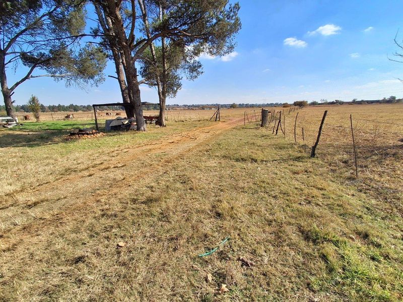 38.44-Hectare Agricultural Land for Sale in Golf Park - Photo 2