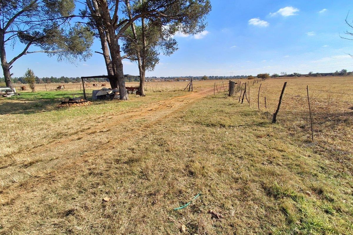 38.44-Hectare Agricultural Land for Sale in Golf Park - Photo 2