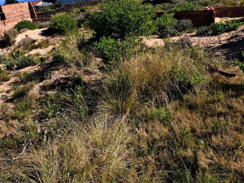 982m2 Vacant Land for Sale in Dana Bay - Photo 2