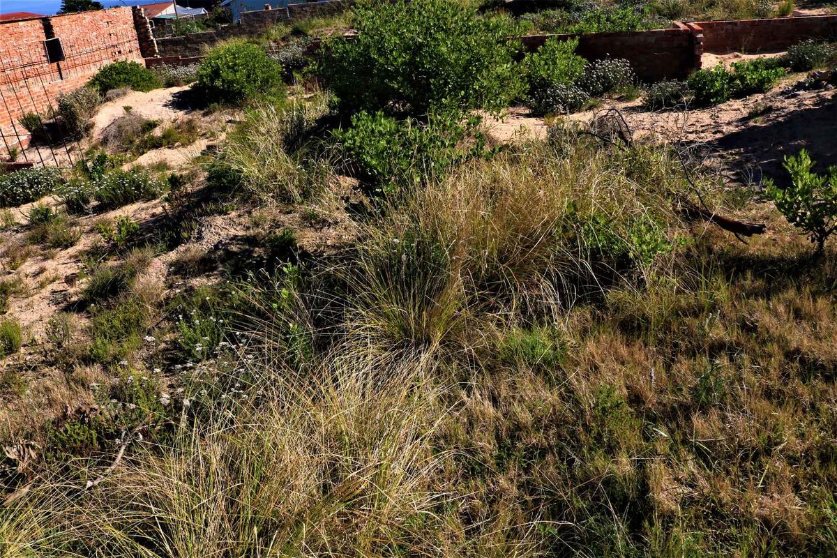 982m2 Vacant Land for Sale in Dana Bay - Photo 2