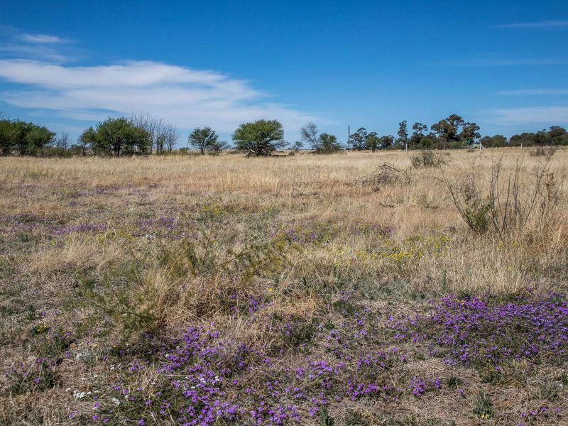 Vacant Land near Weltevrede Dam, Koppies - Plot 351 - Photo 8