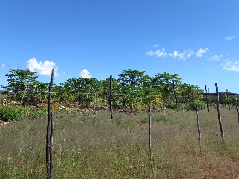 Outjo, 701 Ha Smallholding is for Sale - Photo 10