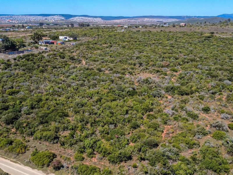 9ha Vacant Land | Uitenhage - Photo 7