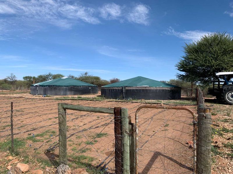 Established fresh produce plot - Photo 3