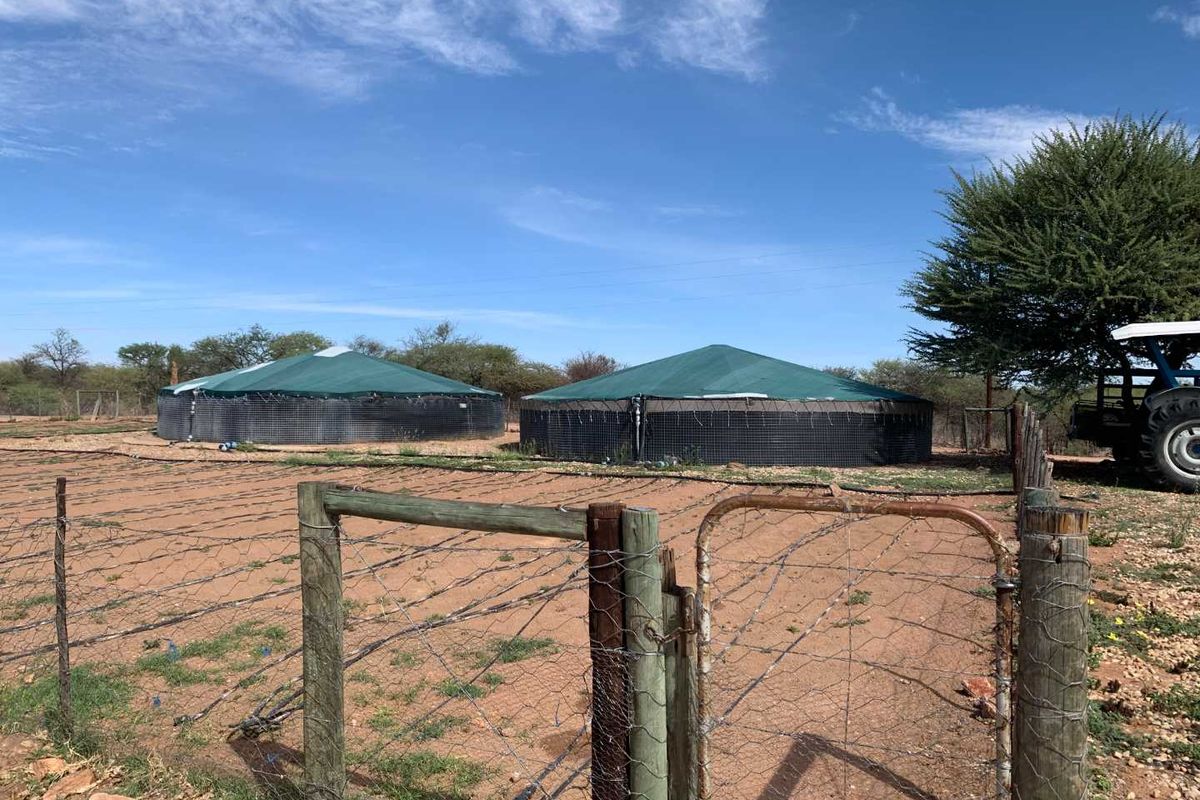 Established fresh produce plot - Photo 3