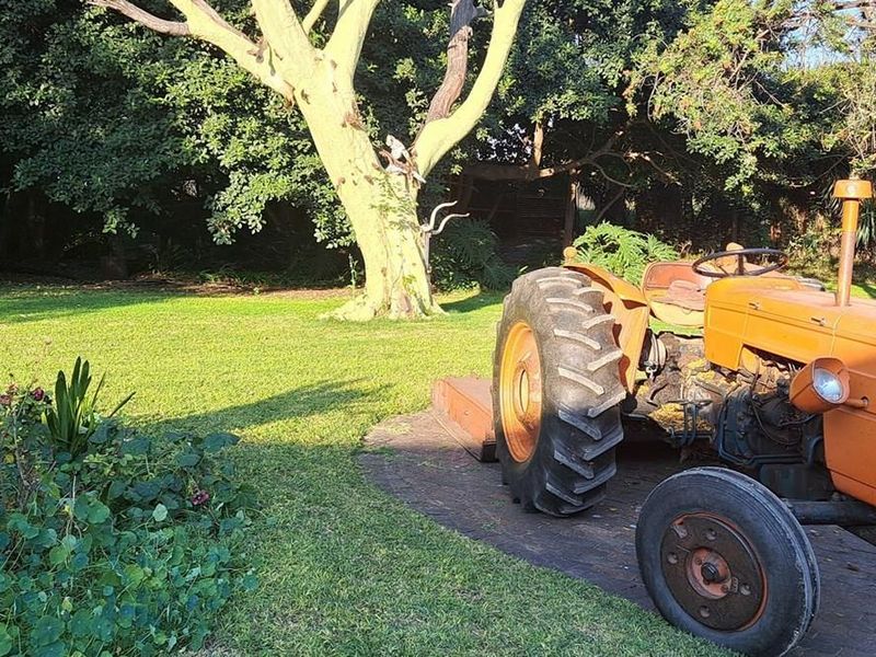 Prime 2.14Ha Farm in the Niche Market of Mushrooms and Pomegranates - Photo 6