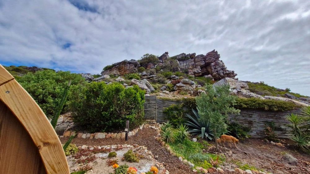Private entrance to hiking trail behind the house