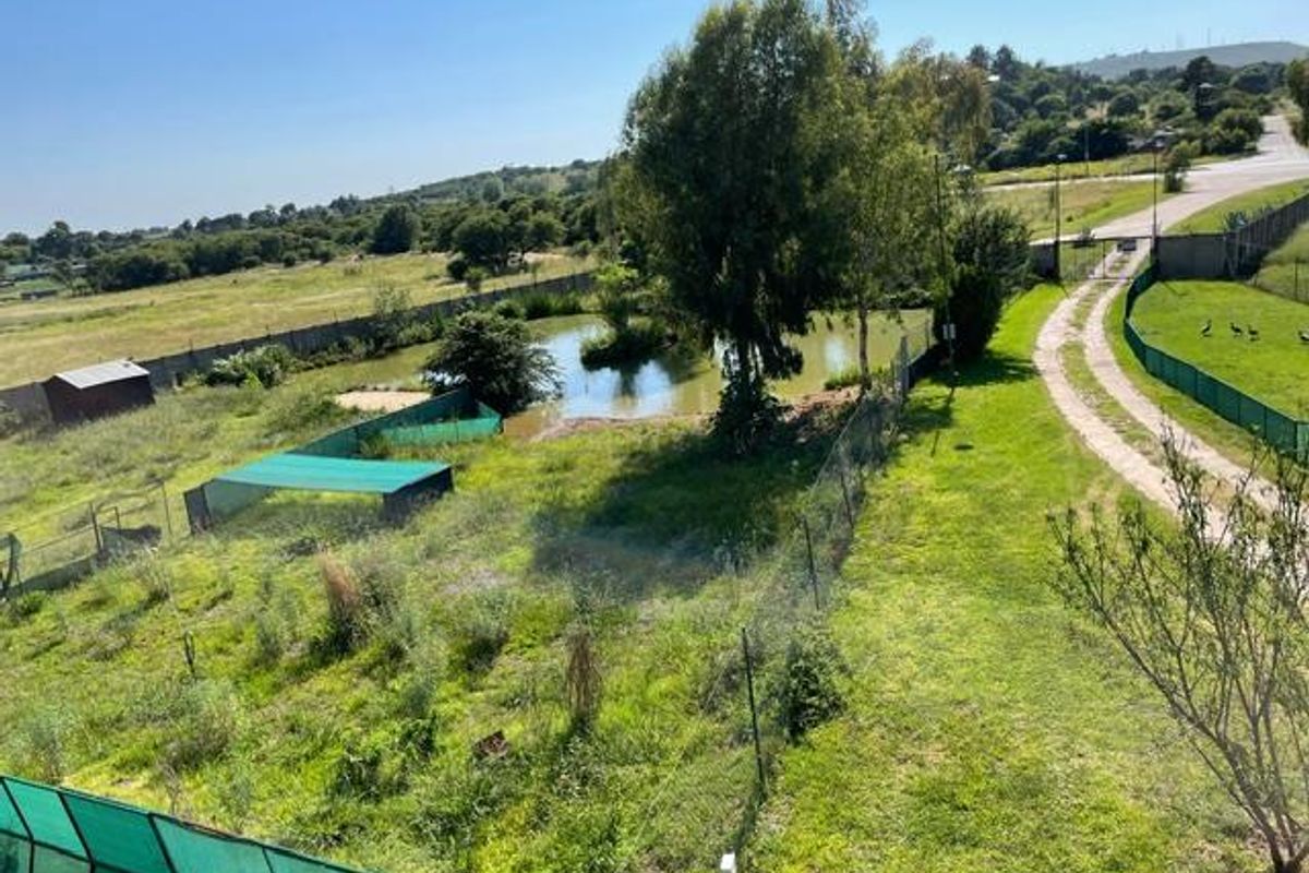 Your Piece of Paradise, 15 Hectares of Potential! - Photo 2