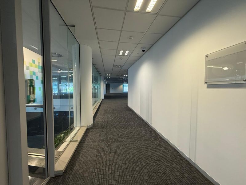 A clean, professional office hallway featuring carpeted flooring, a suspended ceiling with recessed lighting, and a glass partition wall.