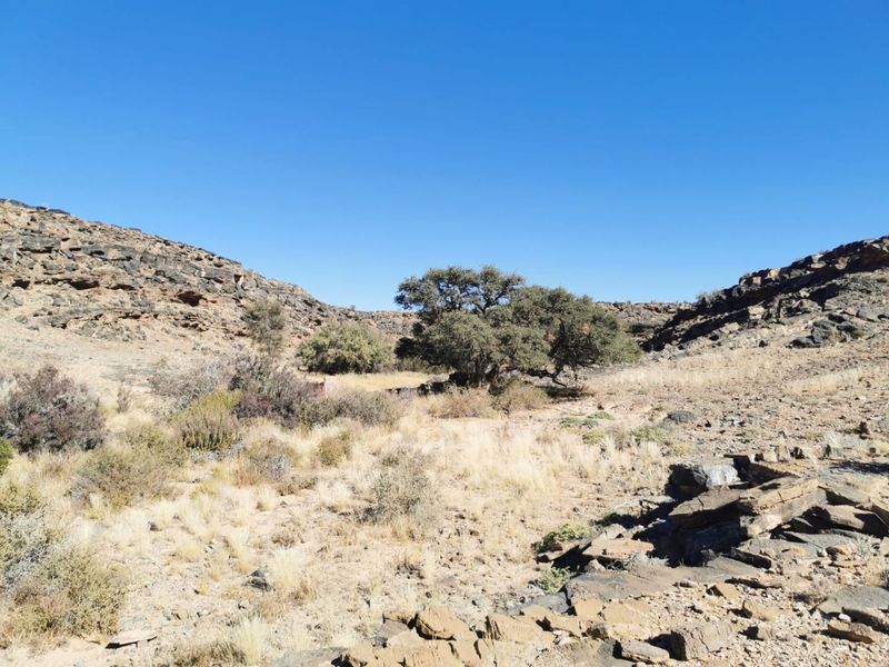 FOR SALE - GAME FARM IN THE KEETMANSHOOP AREA, NAMIBIA - Photo 4