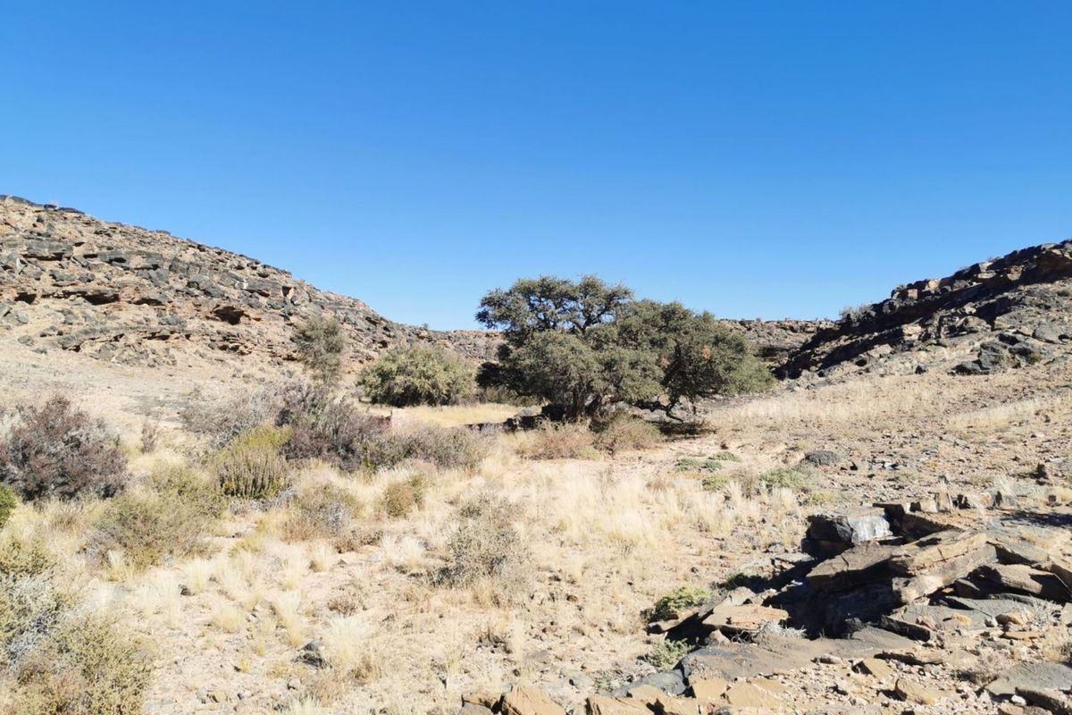 FOR SALE - GAME FARM IN THE KEETMANSHOOP AREA, NAMIBIA - Photo 4