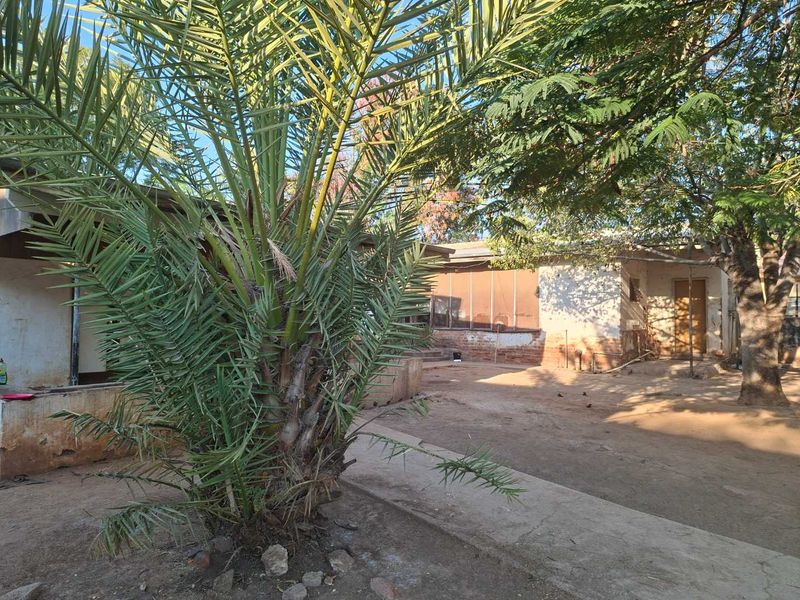 Rear exterior view of the property featuring a large palm tree, concrete courtyard area, and weathered building facade requiring maintenance.