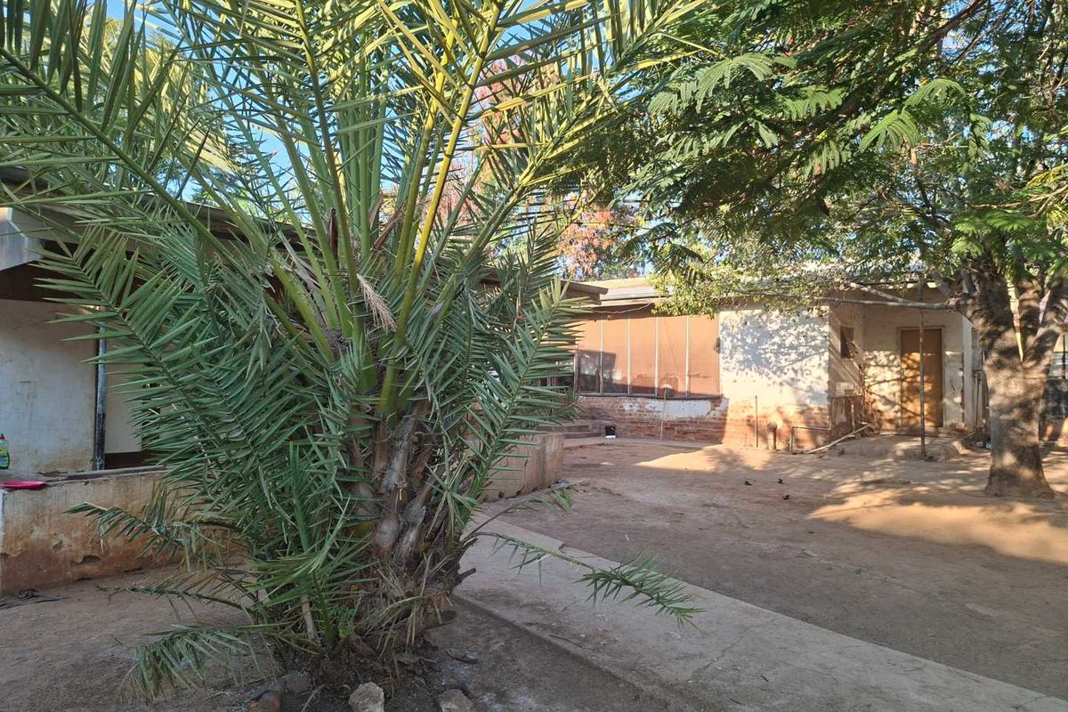 Rear exterior view of the property featuring a large palm tree, concrete courtyard area, and weathered building facade requiring maintenance.