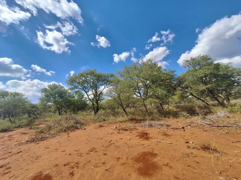 Exclusive Stand Awaits - Discover Serenity - Photo 5