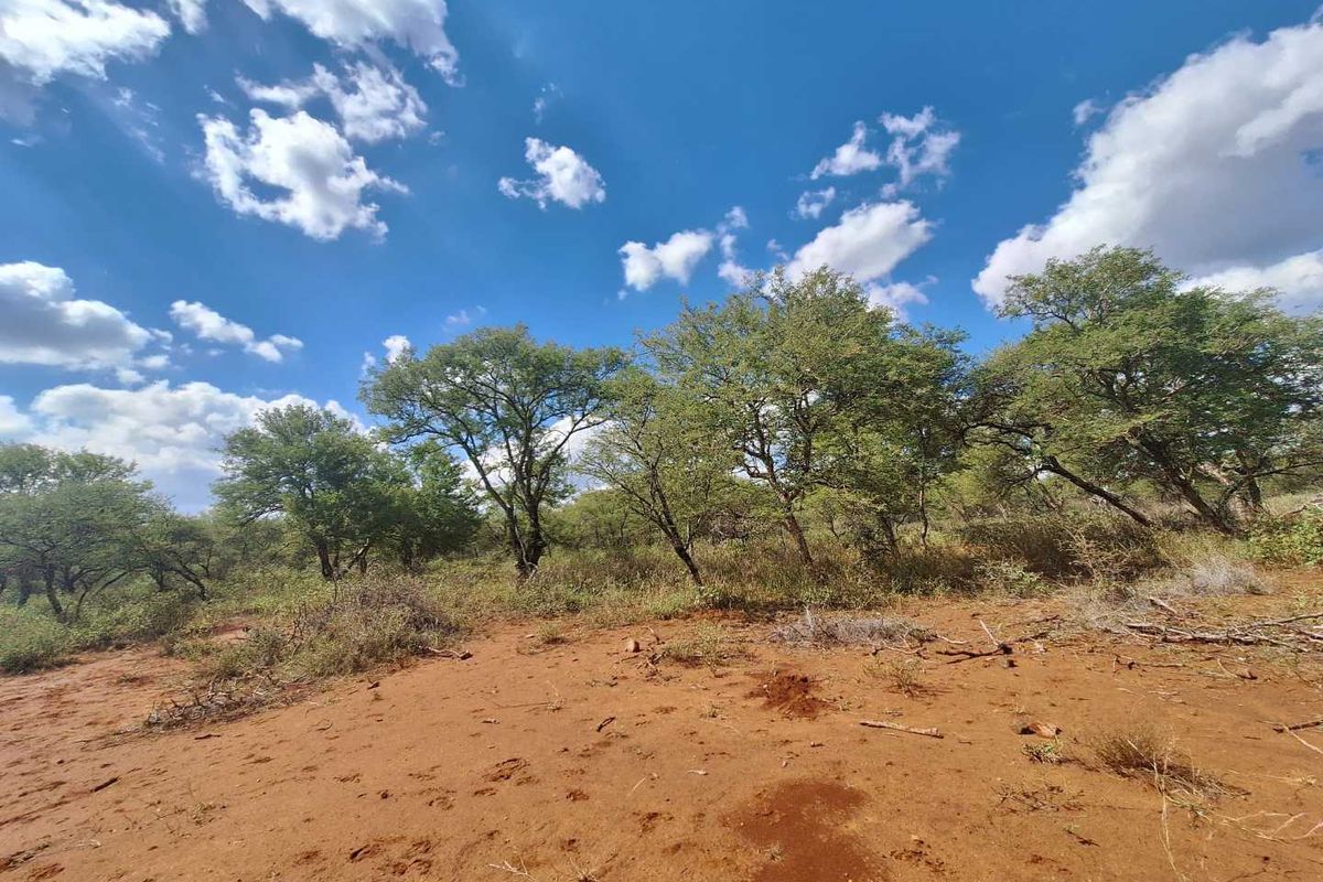 Exclusive Stand Awaits - Discover Serenity - Photo 5