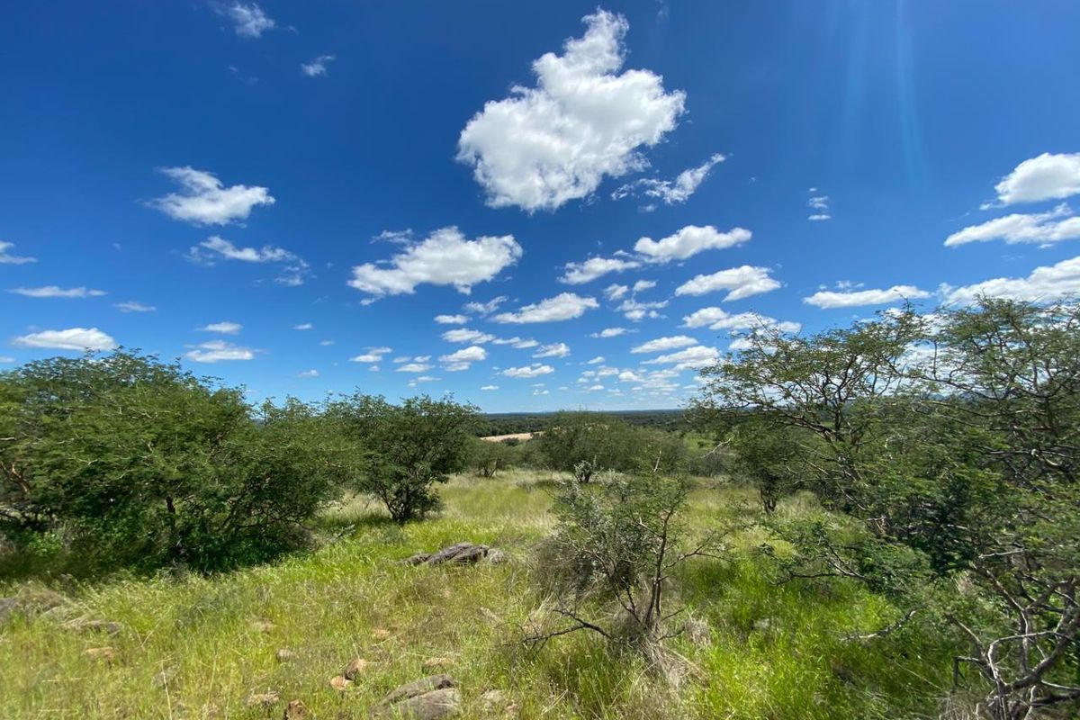 A scenic view of the natural landscape featuring indigenous trees, open grassland, and rocky terrain under a clear blue sky.