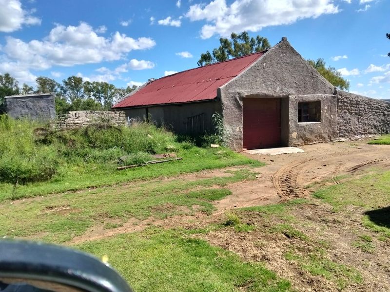 Frm Excellent Opertunity. Include 100 cows.Tractors .Implements. Bakkie. Lots More - Photo 5