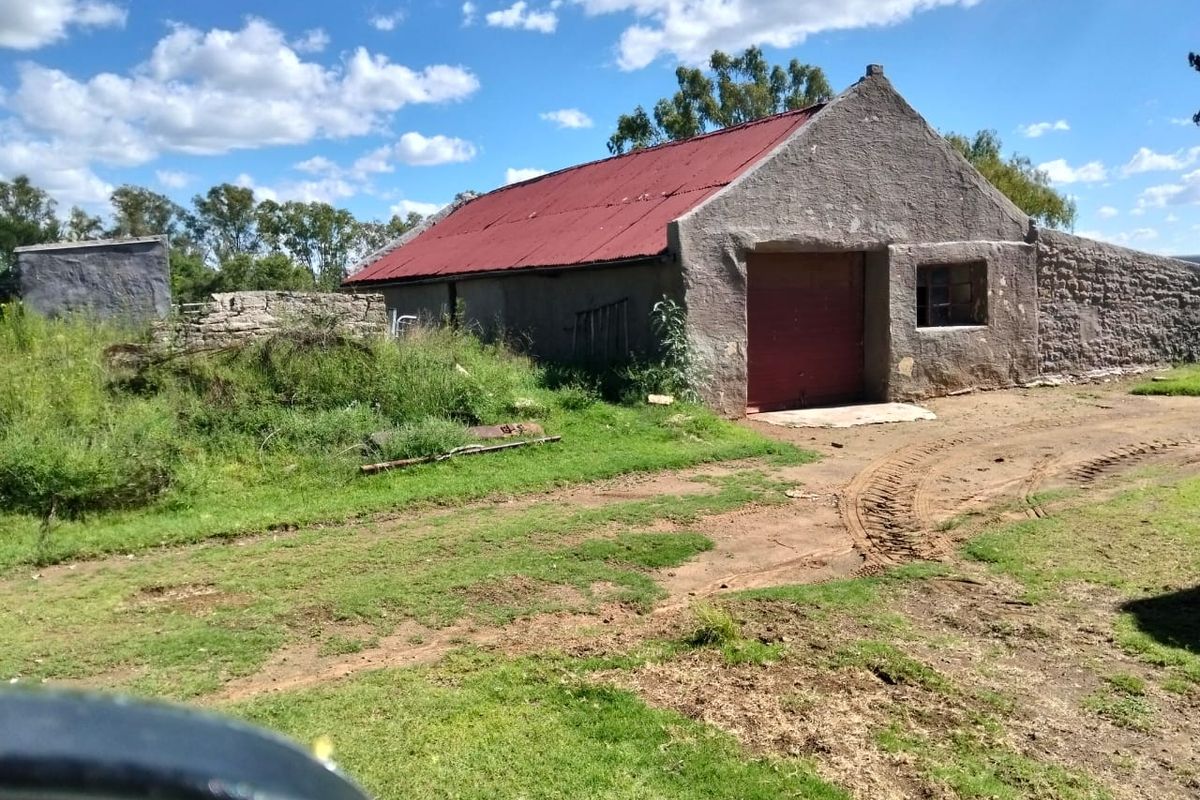 Frm Excellent Opertunity. Include 100 cows.Tractors .Implements. Bakkie. Lots More - Photo 5