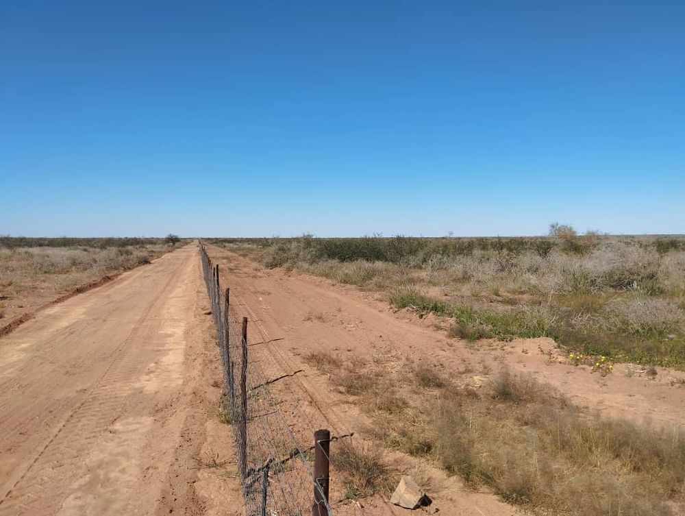 overview of farm land