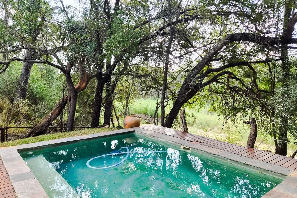 Bushveld home on a Dry Riverbed in Raptors View Wildlife Estate - Photo 3