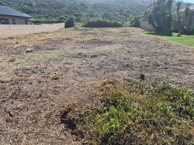 Prime 987m2 Vacant Stand in Hersham, Groot Brak Rivier on the Garden Route - Photo 8