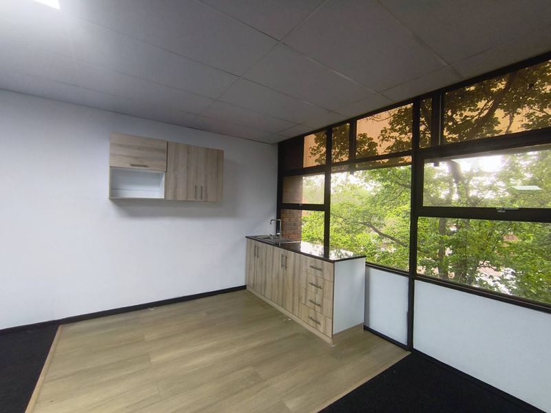 A clean, modern office kitchenette featuring light wood-finish cabinetry, a stainless steel sink, and large windows providing ample natural light and a green outlook.