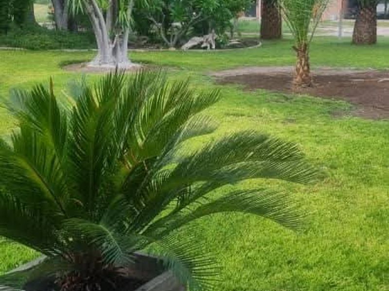 Walk in and produce in a friendly farm environment. - Photo 7