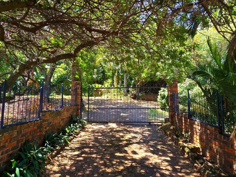 Orion's Belt - At Home Among the Stars - Photo 9