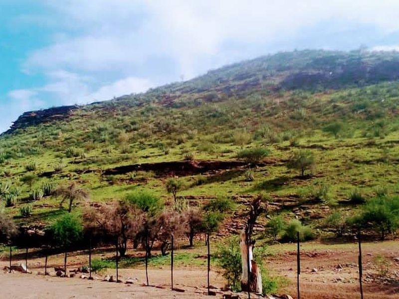 Exceptional farming opportunity just 75 km Southeast of Keetmanshoop! - Photo 4