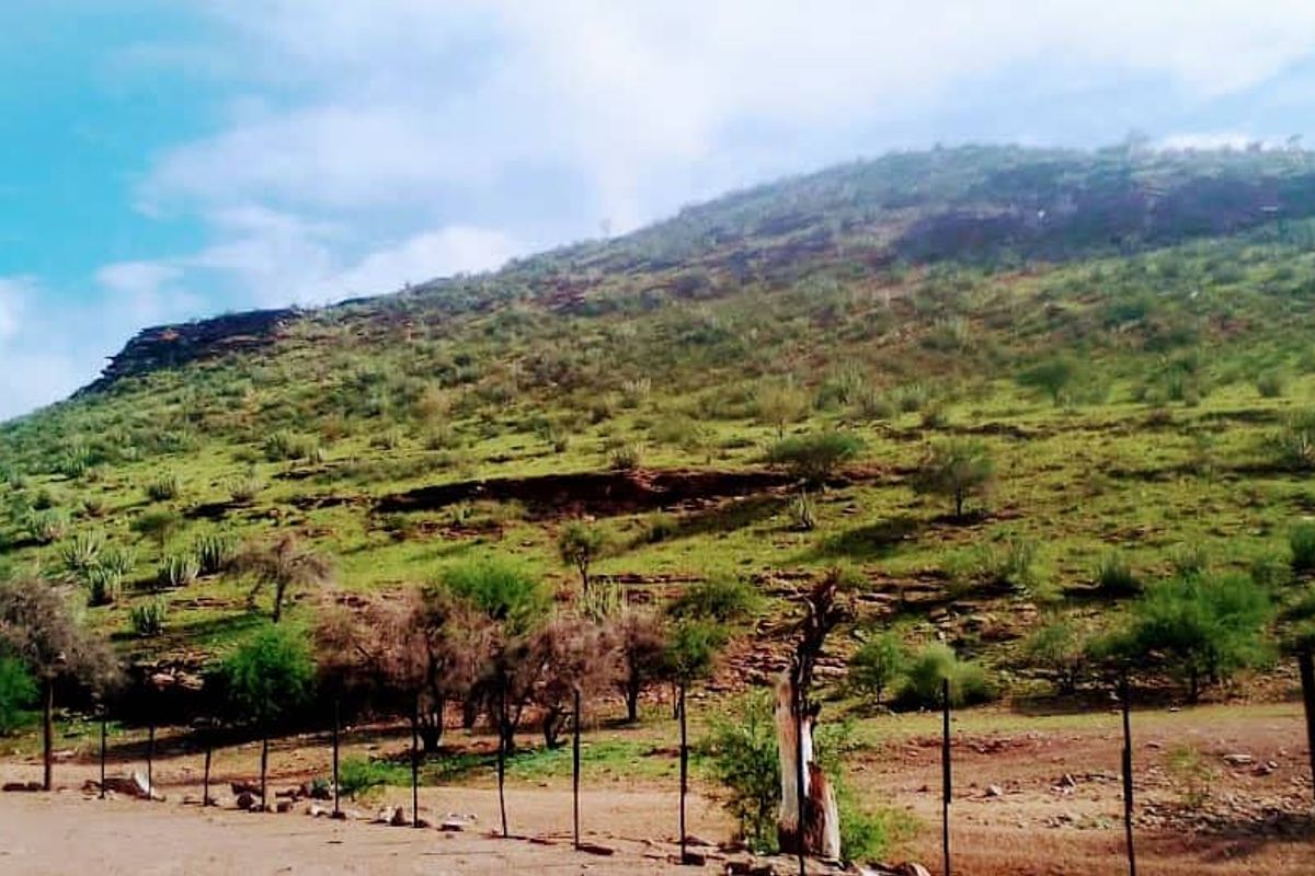 Exceptional farming opportunity just 75 km Southeast of Keetmanshoop! - Photo 4