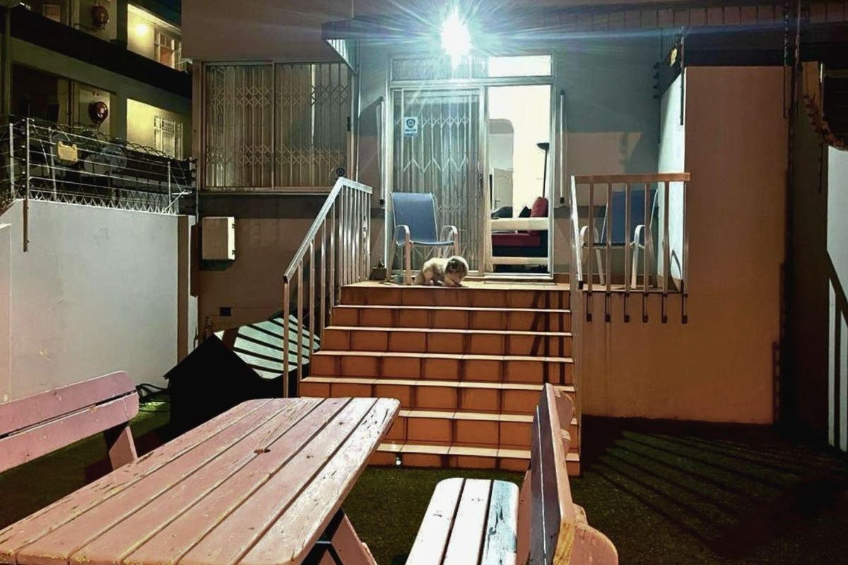 Exterior view of an apartment entrance featuring a tiled staircase, security gate, and a small paved outdoor area.