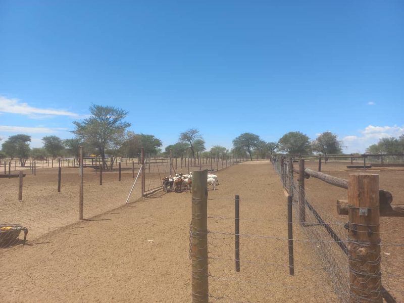 Ozombanda, Okahandja:  Agricultural Smallholding is for Sale - Photo 8
