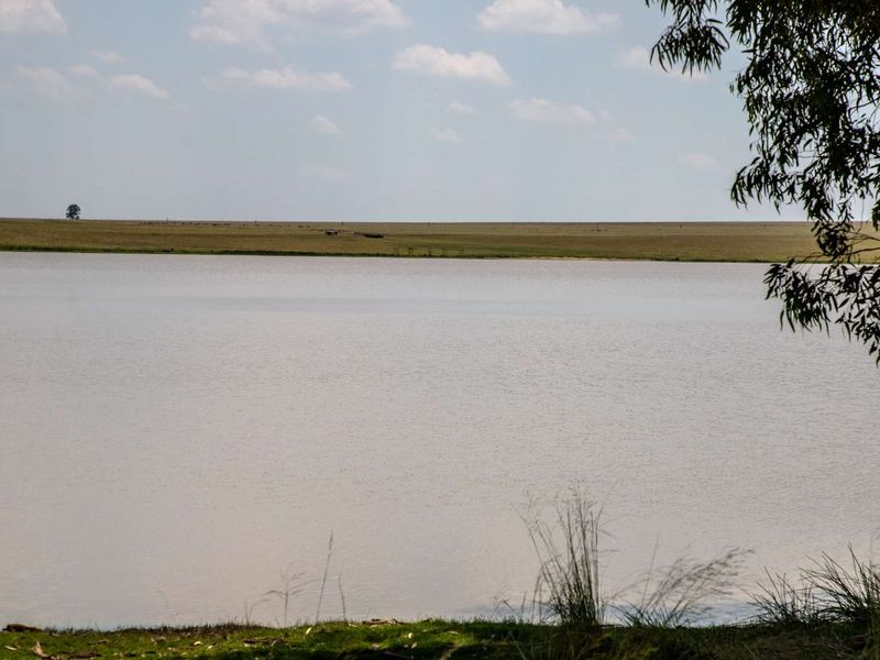 1,229.6705-Hectare Wildlife Farm for Sale as a Going Concern – Including All Game-with accommodation, restaurant, bar, arable land, and grazing land - Photo 7