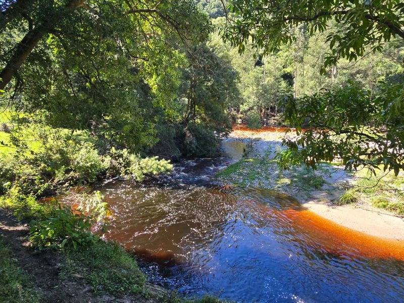 Spectacular Ruiterbos Farm with River Frontage & Panoramic Views - Photo 5