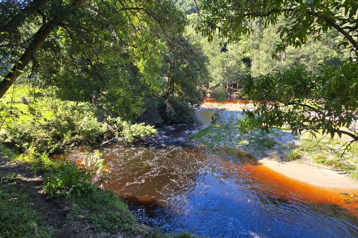 Spectacular Ruiterbos Farm with River Frontage & Panoramic Views - Photo 5