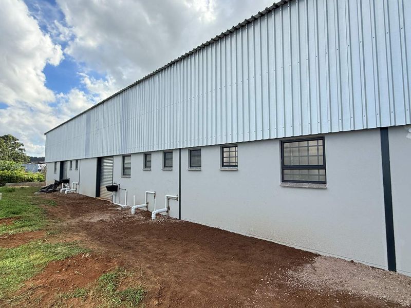 Rear exterior view of an industrial warehouse building featuring corrugated metal cladding, steel-framed windows with security bars, and external plumbing infrastructure.