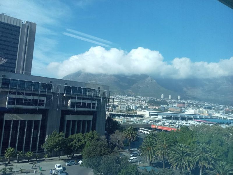 Prime 450sqm Office to let : Backup Power & Water Included - Photo 6