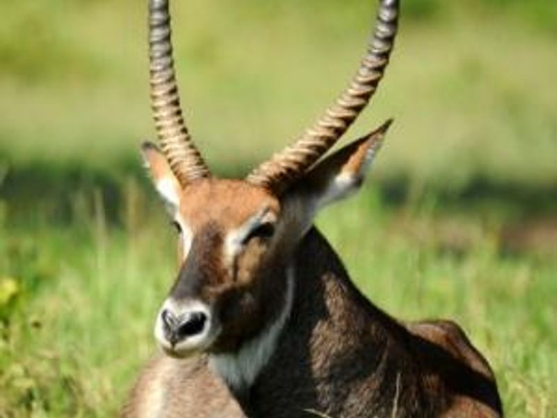 Own a Profitable Game farm in Scenic Grootfontein! - Photo 8