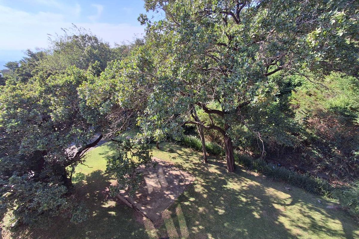 An elevated aerial view overlooking a lush, tree-filled garden area with a small paved section, showcasing the property's natural surroundings.