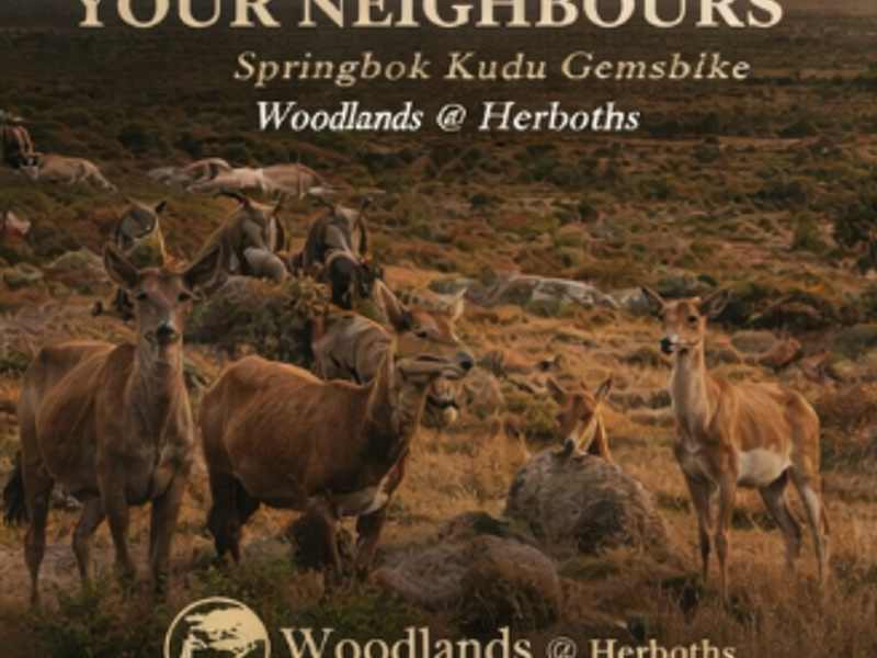 Rare Lifestyle Estate - Photo 5