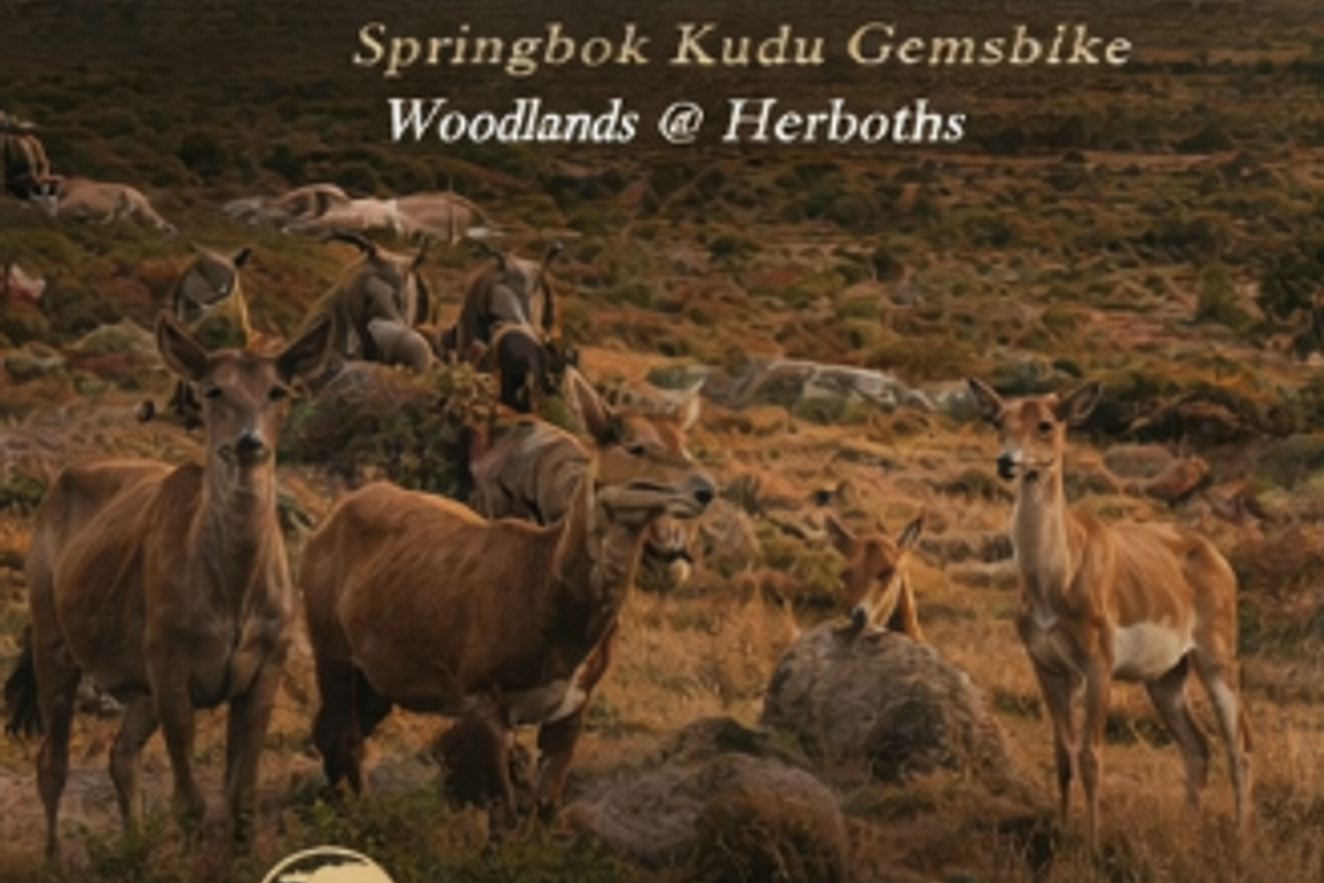 Rare Lifestyle Estate - Photo 5