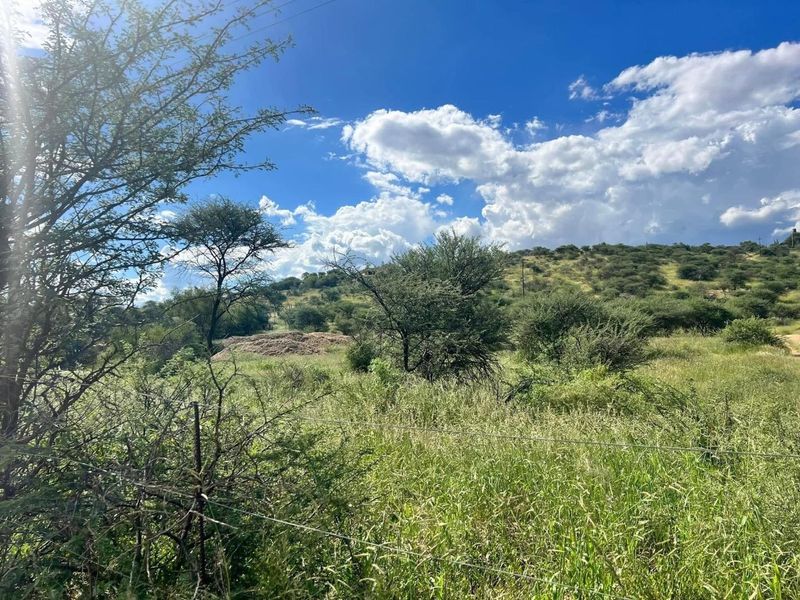 A view of a vacant residential plot featuring natural vegetation, indigenous trees, and a wire fence boundary.