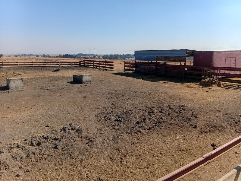 Kraal & Grazing Land to Rent – Withok Estate, Brakpan - Photo 7